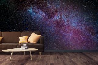 Galaxy View V2 | Mural Wallpaper