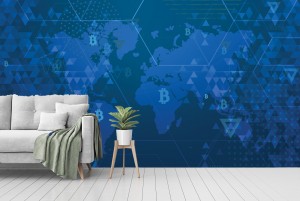 BTC Demography