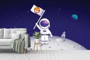 BTC Space V2
