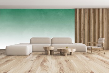 Ombre Effect V7