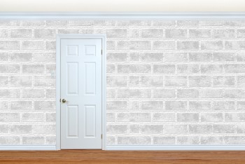 White Brick V2